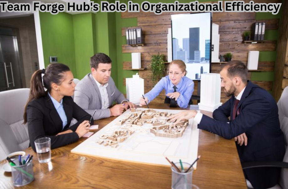 Empowering Teams at Team Forge Hub for Organizational Efficiency